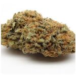 Шишки AK47 (Гидропоника, Бошка) VHQ в Кургане Шишки AK47 (Гидропоника, Бошка) VHQ в Кургане